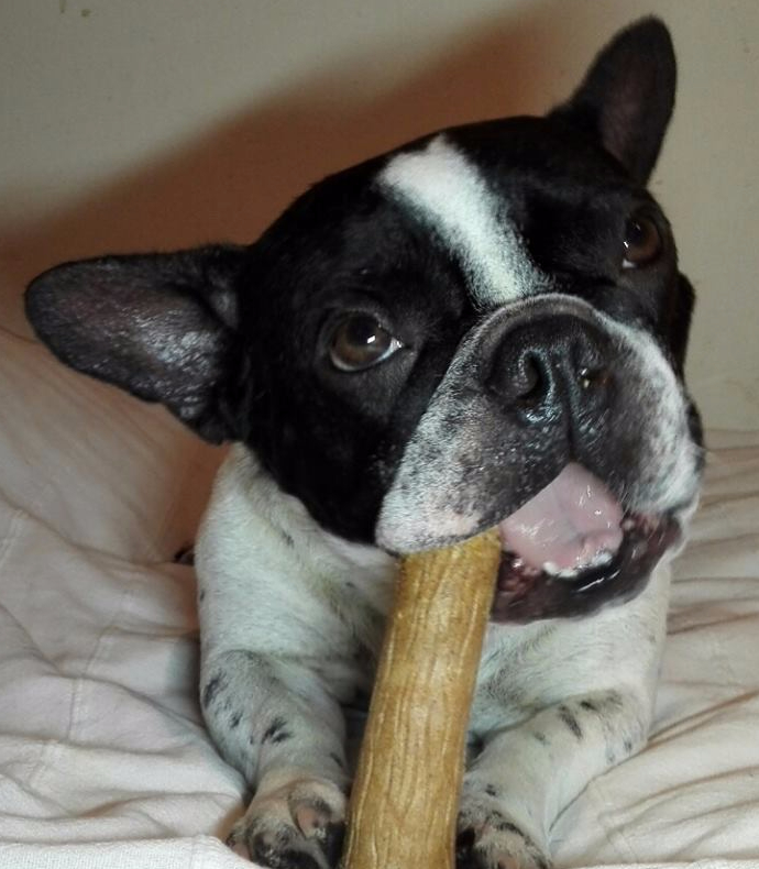 12512335_156097968118346_678515901376849144_n