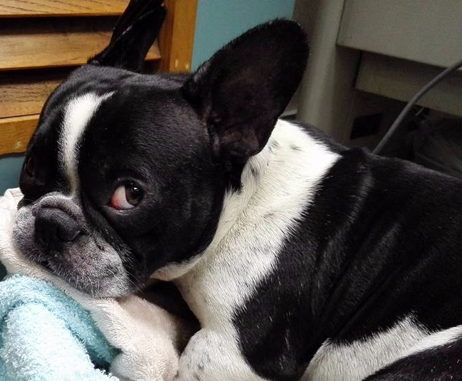 15267711_292685304459611_5809686444644836522_n