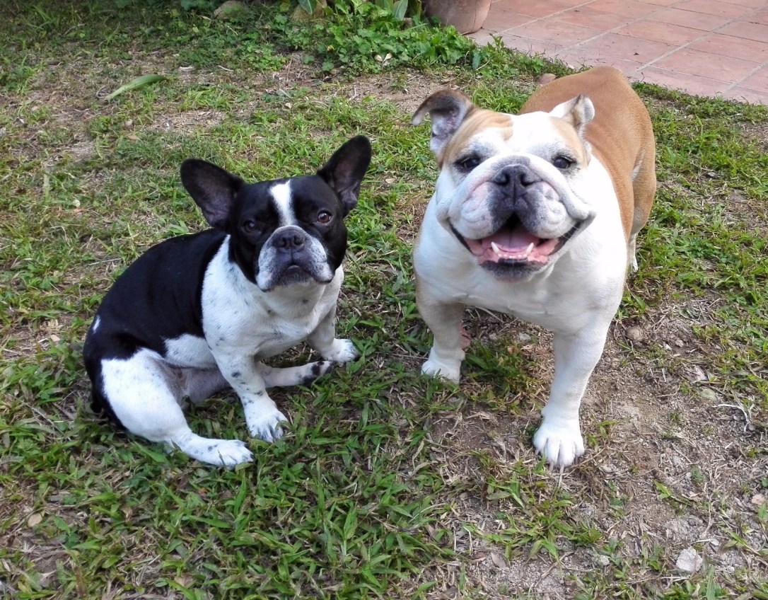 WhatsApp Image 2017-08-29 at 6.36.49 PM