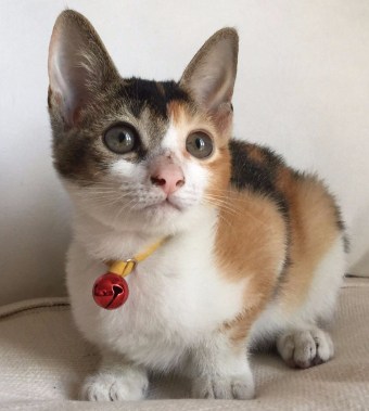 5eeccada-4c0a-473c-b044-0ca8d74f0f8c