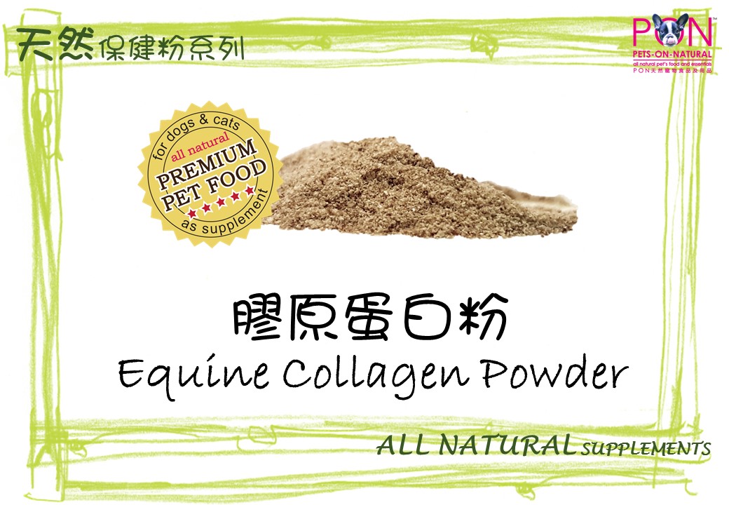 Equine Collagen Powder