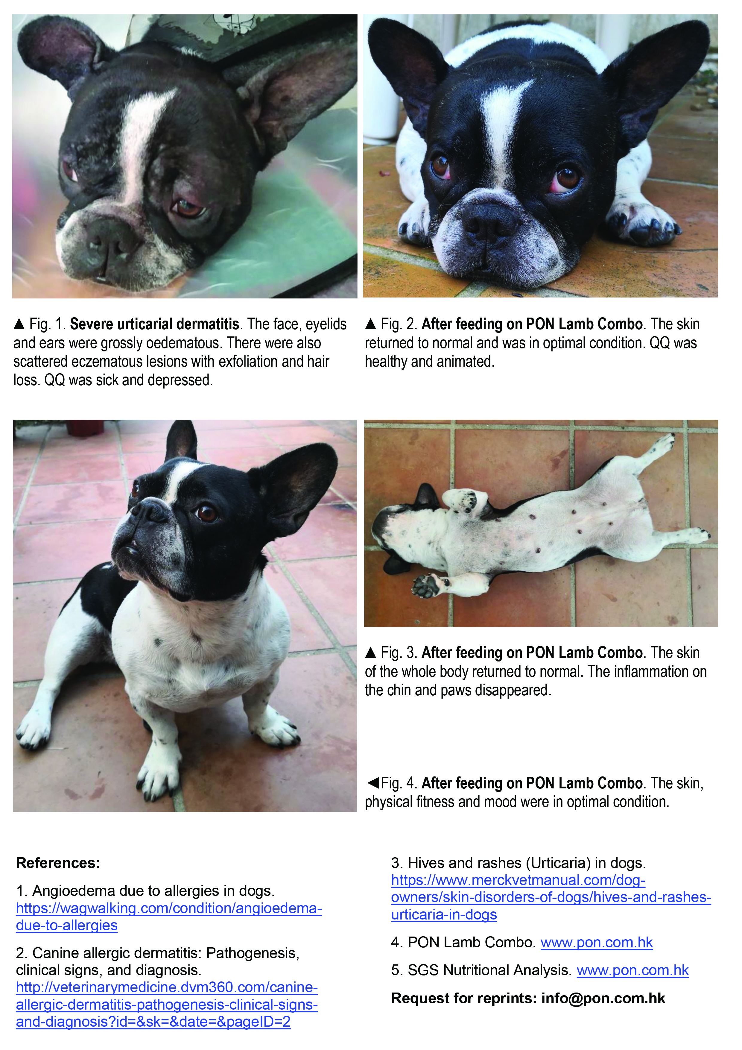 Urticarial Dermatitis - Case Report 20190413 Corrected Version X-2P2