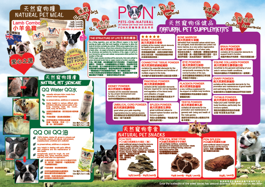 PON catalogue 21021 back page