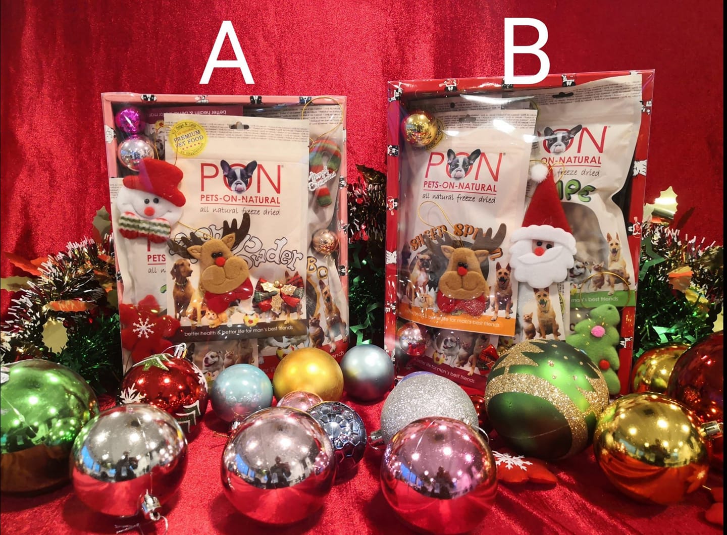 316215848_553902413411055_2992804849831933757_n