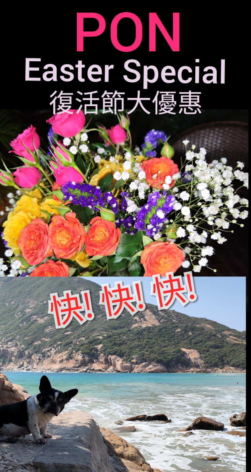 WhatsApp Image 2023-04-05 at 10.35.09 AM