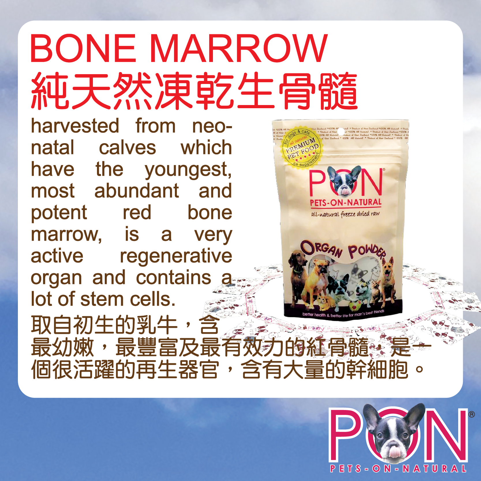 description_Bone Marrow