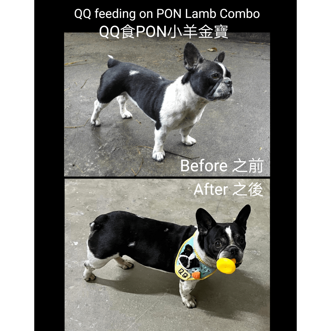 PhotoGrid_1638372044494