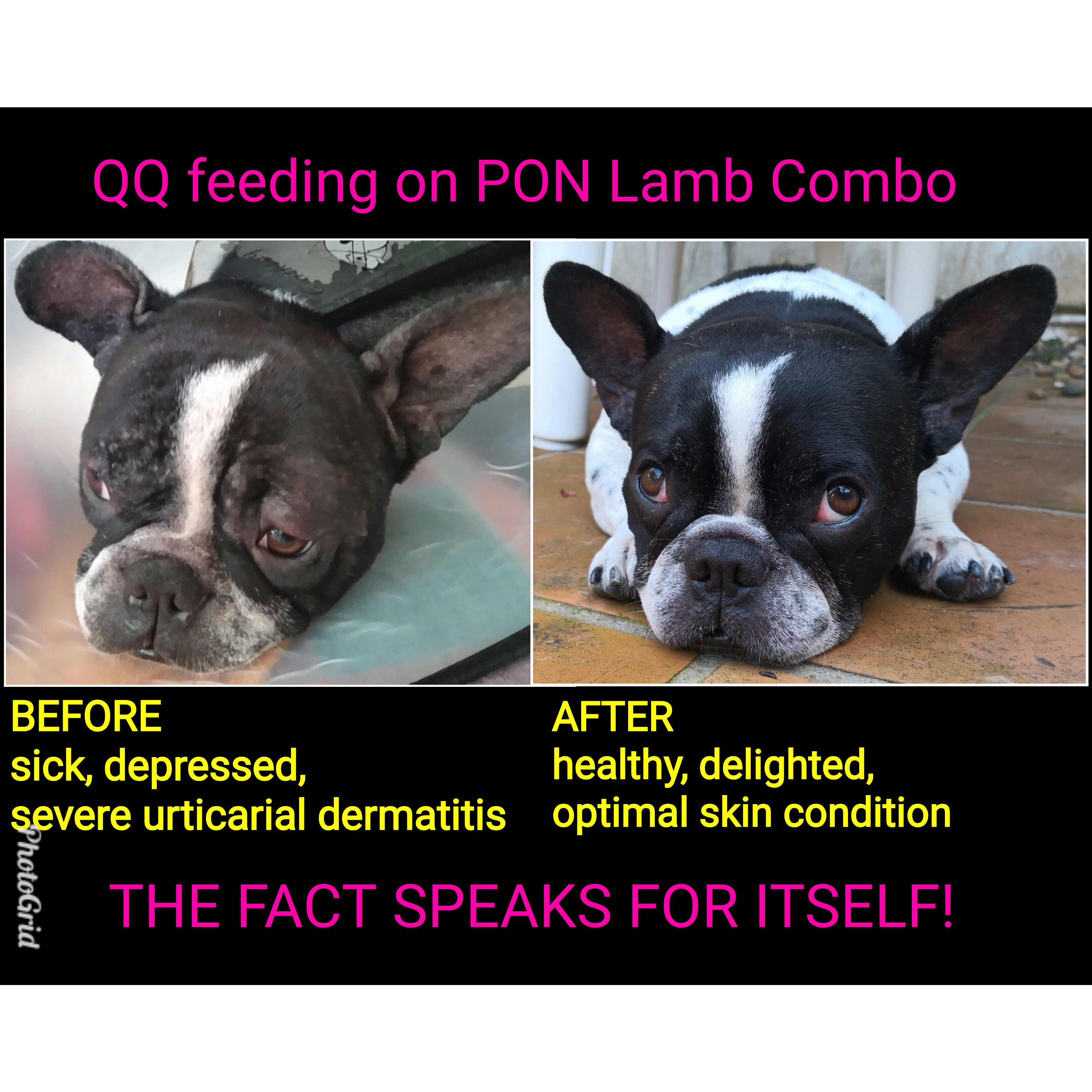 PhotoGridLite_1554636533557