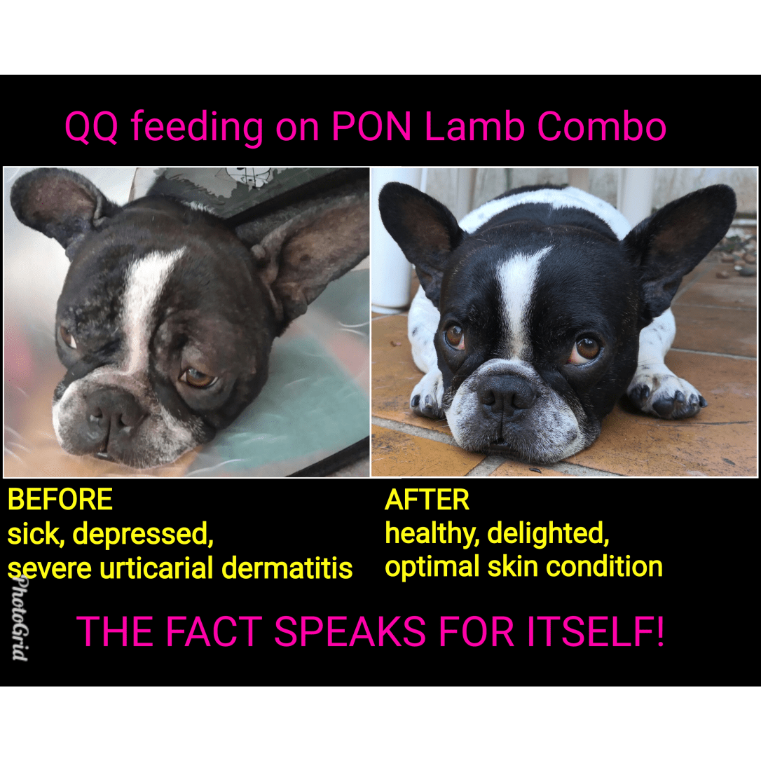 PhotoGridLite_1554636533557