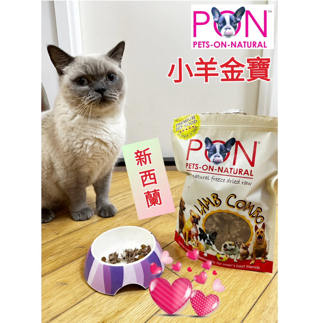 WhatsApp Image 2024-01-28 at 12.26.02 PM