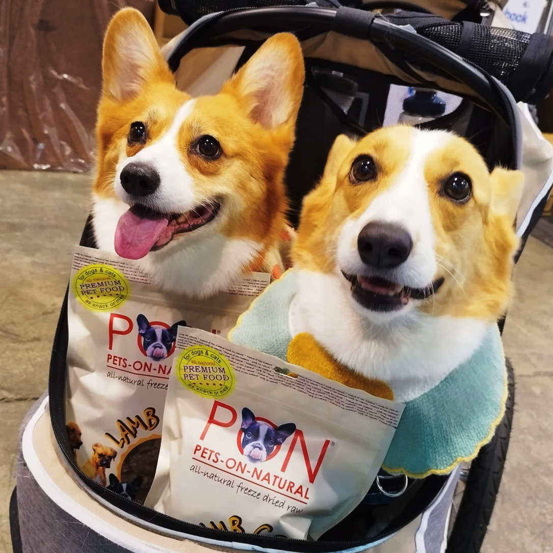 WhatsApp Image 2024-01-28 at 7.31.30 PM