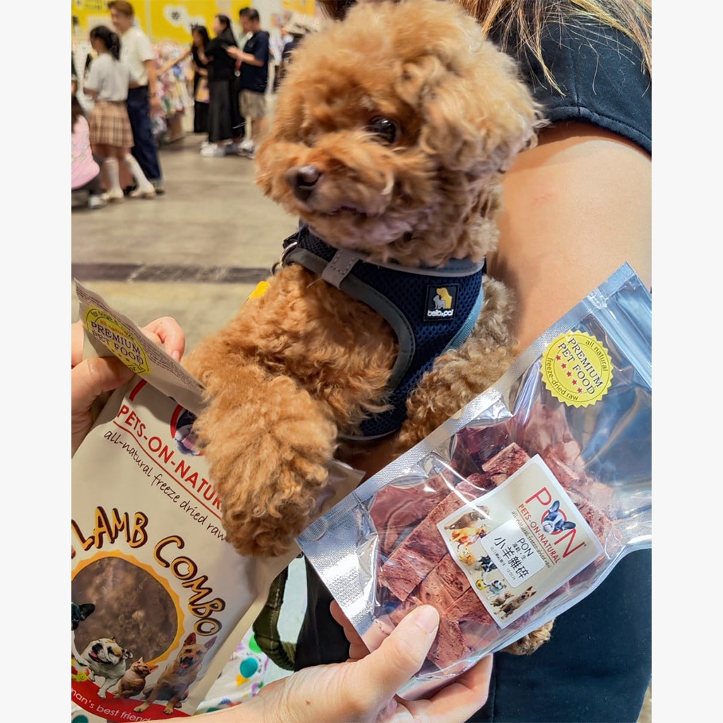 WhatsApp Image 2024-07-04 at 11.38.03 AM